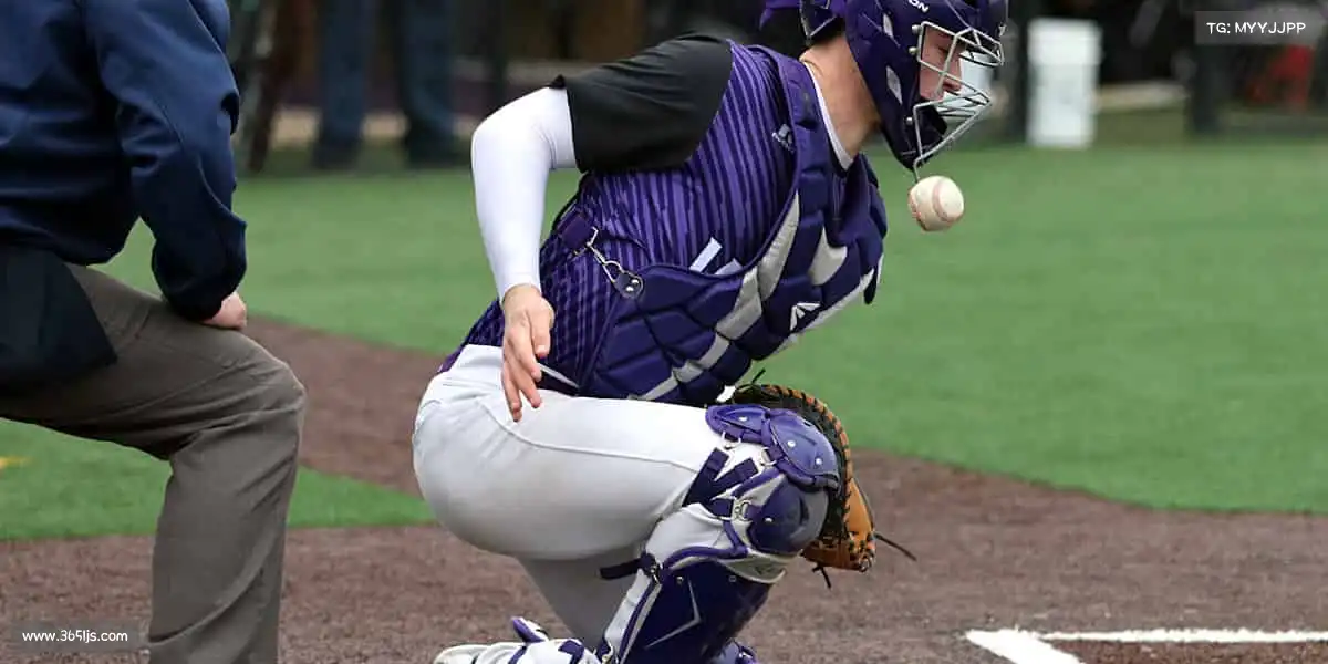 德赢vwin——用汗水浇灌梦想，以拼搏定义青春！🏀